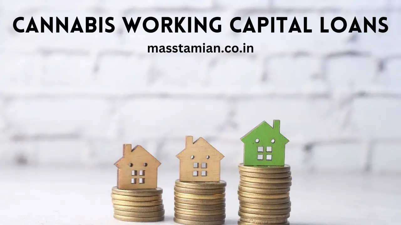 Cannabis Working Capital Loans