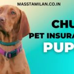 Chubb Pet Insurance