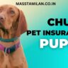 chubb pet insurance