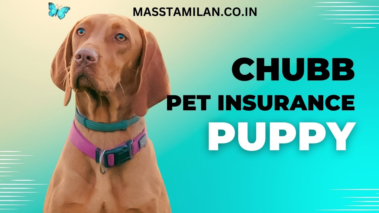 chubb pet insurance